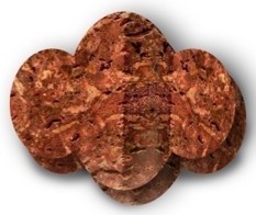 Laterite Bulk